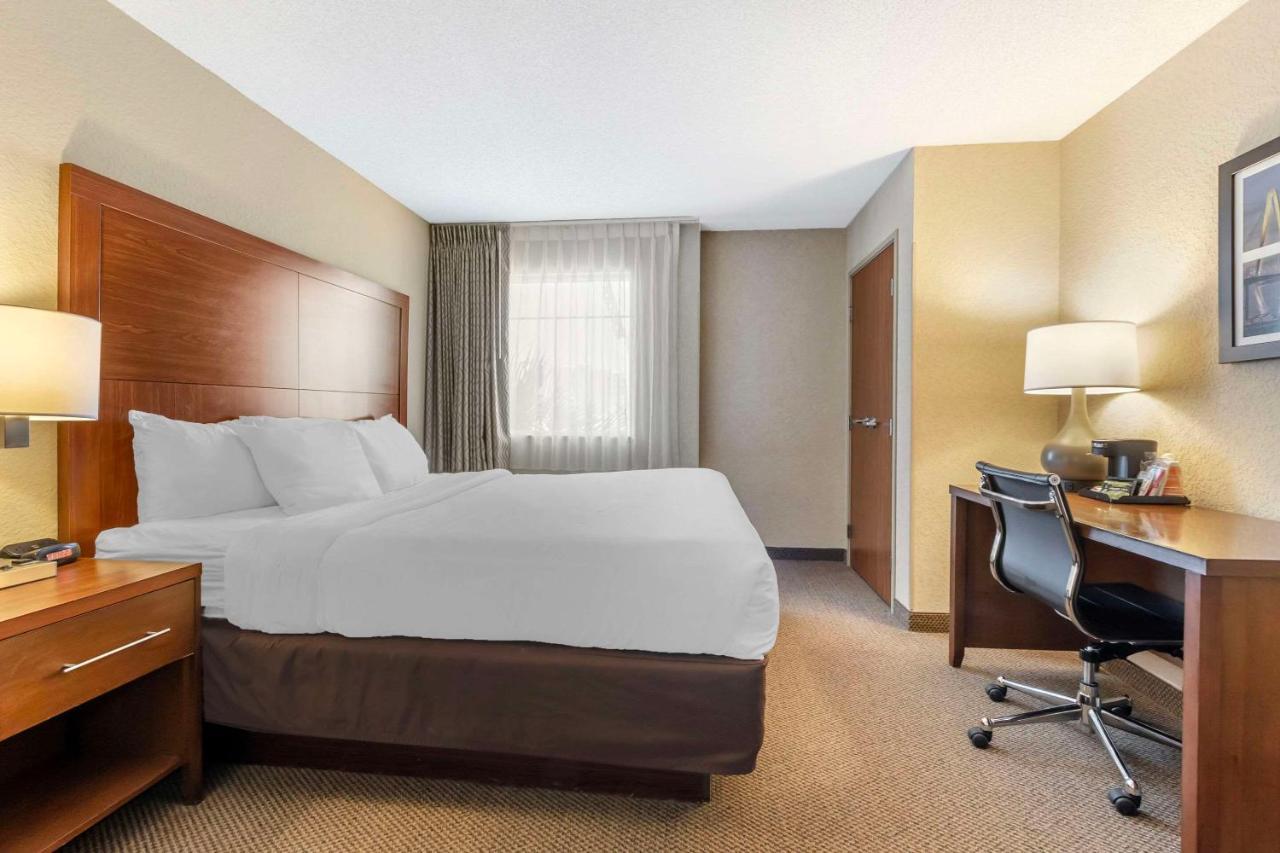 Comfort Inn & Suites Airport Convention Center North Charleston Kültér fotó